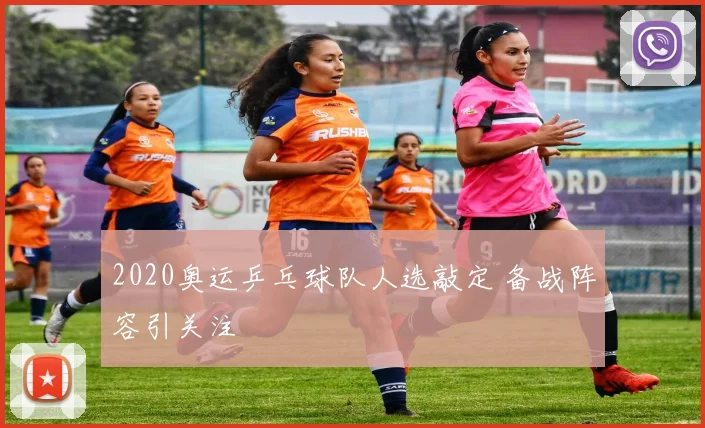 2020奥运乒乓球队人选敲定 备战阵容引关注