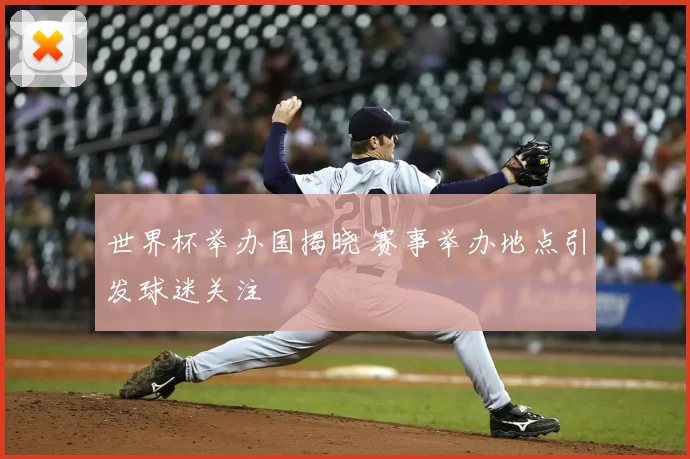 世界杯举办国揭晓 赛事举办地点引发球迷关注